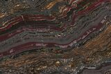 Polished Tiger Iron Stromatolite Slab - Billion Years #222103-1